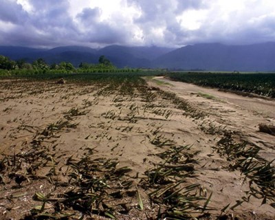 FAO lança plataforma digital sobre agricultura inteligente para o clima