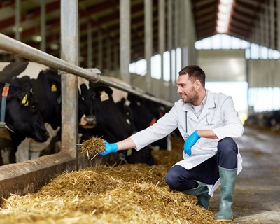 FAO promove webinar: “Qual o papel da nutrição na saúde e bem-estar animal?”