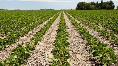 Faro recebe Fórum da Agrogarante