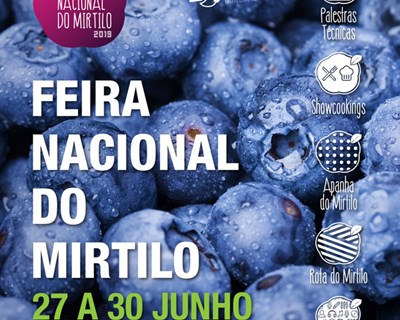 Feira Nacional do Mirtilo regressa em junho a Sever do Vouga