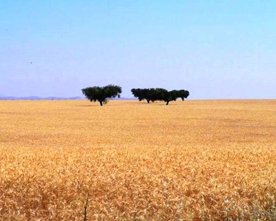 FENAREG alerta para os baixos níveis das barragens