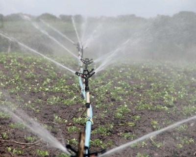 FENAREG prepara o futuro do regadio