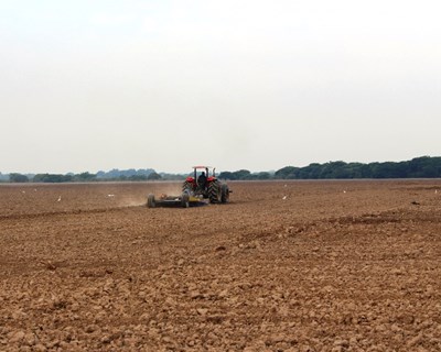 Ferramentas e metodologias de gestão de projetos no setor agrícola