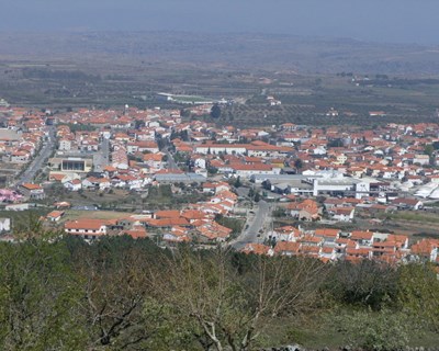 Figueira de Castelo Rodrigo atribui subsídios a agricultores locais