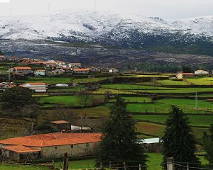 Floresta, Agricultura e Turismo são apostas de desenvolvimento do Município de Vieira do Minho