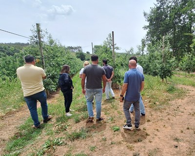 Formação da Academia 2024 do Centro de Frutologia Compal já está no terreno