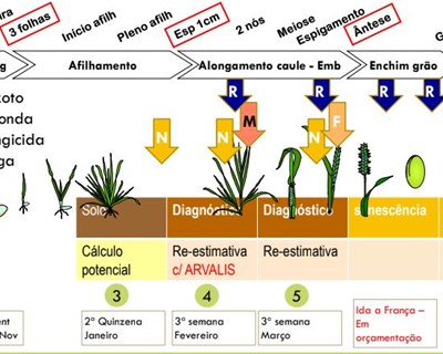 Formação técnica para produção de cereais de outono/inverno