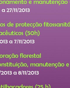 Formações Modulares Certificadas