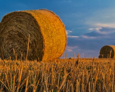 Fórum Agrogarante “Conversas de Agricultura” a 11 de junho em Santarém