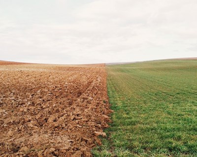 Fórum Stresses Abióticos – Das contaminações dos solos às alterações climáticas