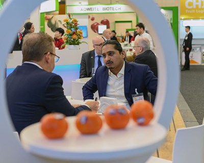 Fruit Logistic 2020: inscrições abertas