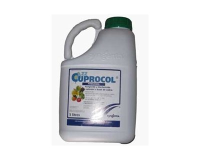 Fungicida Cuprocol da Syngenta autorizado para controlo da antracnose e dabacteriose em nogueira