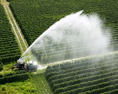 Futuro da agricultura debatido no Minho por Eurodeputada e académicos