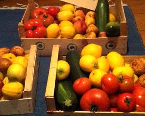 “Gente bonita come fruta feia”: Projeto já “salvou” 50 toneladas