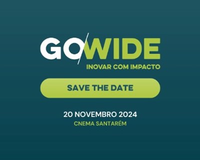 Go Wide - 20 de novembro de 2024