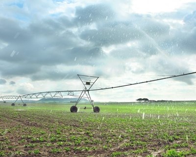Governo autoriza expropriações para avançar com Bloco de Rega de Viana do Alentejo
