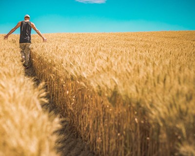 Governo cria apoio excecional de crise dirigido a agricultores sob a forma de subsídio reembolsável