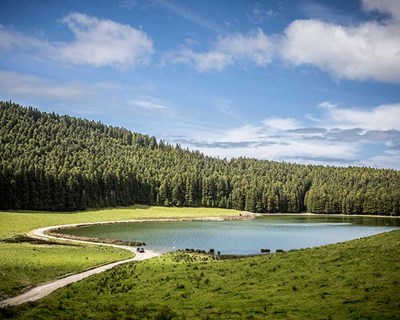 Governo dos Açores apoia agricultores com dois milhões de euros devido à seca