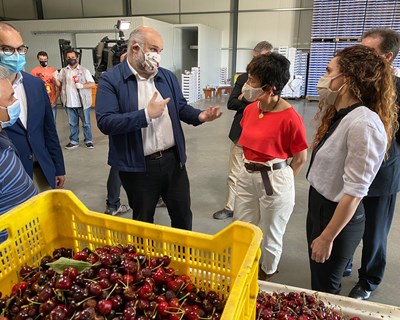 Governo publica atualização do plano de medidas excecionais para o setor agroalimentar