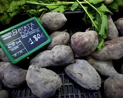Governo vai criar observatório de preços agroalimentares