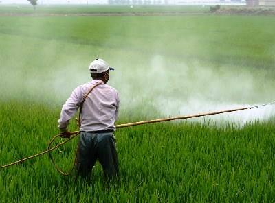 Governo vai proibir glifosato em espaços públicos mas admite exceções