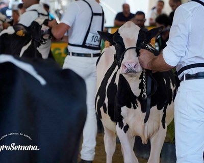 Grupo Agros volta a receber Feira Agrícola do Norte