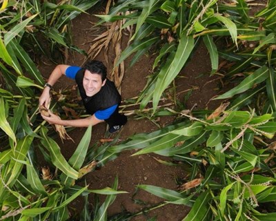 Grupo Syngenta atinge a marca de 50 milhões de hectares de terras agrícolas geridas digitalmente
