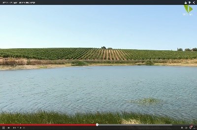 Vídeo: Herdade das Servas