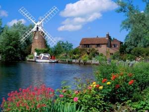 Holanda: 2ª maior exportador agroalimentar do mundo