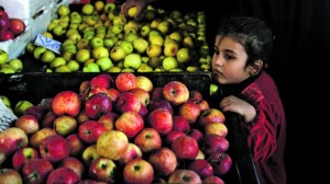 FAO: Identificados principais parasitas transmitidos por alimentos