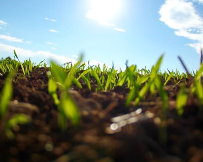 II Jornadas de Engenharia Agronómica realizam-se em dezembro
