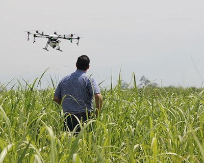 III Colóquio “Agricultura de Precisão, um imperativo do Setor” realiza-se no âmbito da Agroglobal