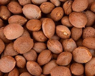 Importações de frutos secos dos EUA para a UE não necessitam de certificado fitossanitário
