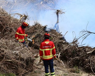 Incêndios: criada app para autorização de queimas e queimadas seguras