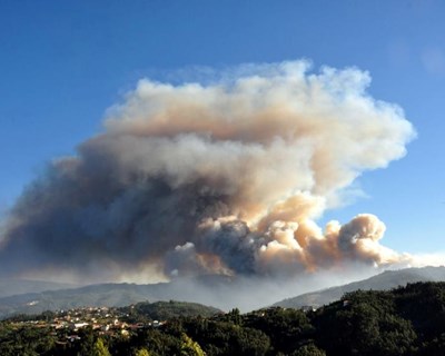 Incêndios: Governo prorroga até 15 de abril suspensão de processos de execução fiscal