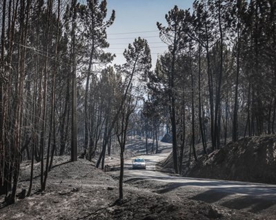 Incêndios: reserva de alimentos e de água são as medidas mais adotadas pela população