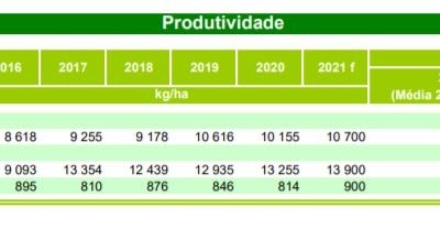 INE prevê aumento da produtividade na maioria das culturas