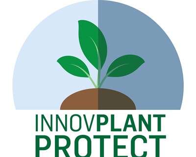 InnovPlantProtect celebra 3.º aniversário