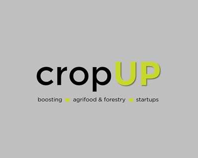 INOVISA lança 2ª edição do programa cropUP