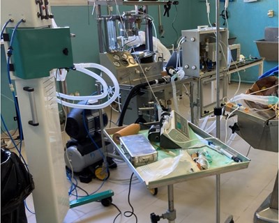 Investigadores do INIAV participam em projeto nacional inovador com ventiladores feitos em Portugal
