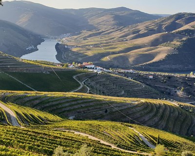 Investimento no setor agrícola supera os 700 milhões de euros na Península Ibérica