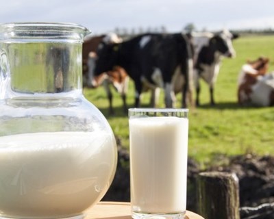 Irlanda: produção de Leite sobe no primeiro mês sem quotas