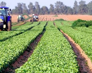 Israel: Agritech mostra inovações agrícolas em abril