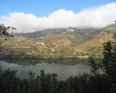 IVDP lança vídeo para brindar ao Douro e ao Porto