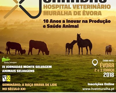 Jornadas Hospital Veterinário Muralha de Évora chegam em março