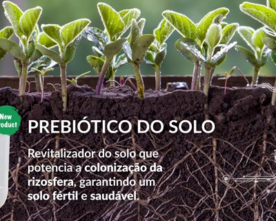 Kiplant Solevure é o novo Prebiótico da Asfertglobal que aumenta a fertilidade e saúde dos solos agrícolas