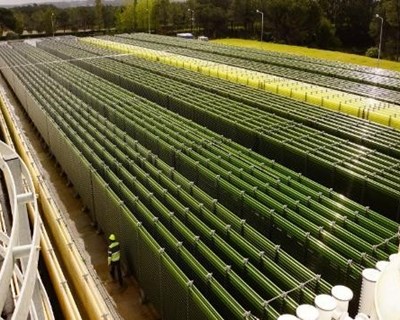 Laboratório Colaborativo dedicado ao setor das algas vai recuperar e instalar-se em anteriores instalações laboratoriais na CCDR ALGARVE