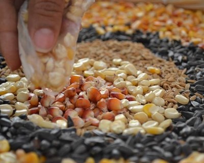 Lançado questionário sobre o uso de informação sobre Agrobiodiversidade
