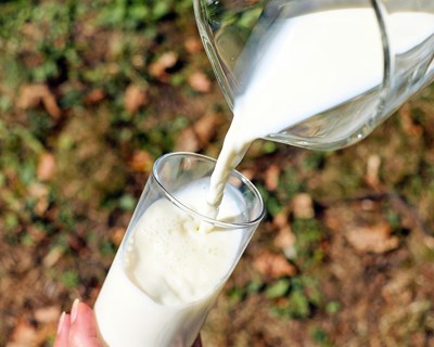 Lavradores já deixaram de produzir leite nas Flores
