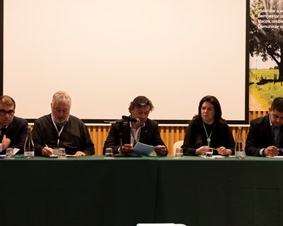 Leite carbono zero é objetivo dos produtores nacionais